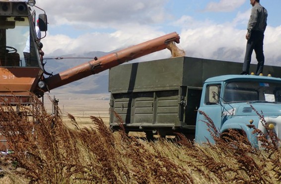 Գյուղական բնակչության թիվը նվազել է. «Փաստ»