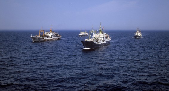 Армения вступила в Морскую организацию
