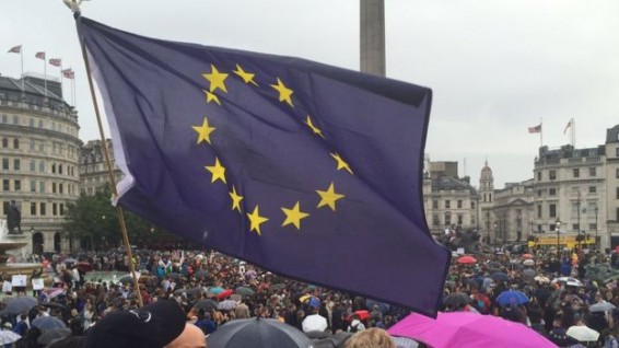 В Лондоне состоялся первый митинг против 