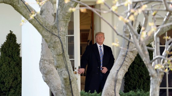 В Белом доме подтвердили, что Трамп предлагал Путину встречу в Вашингтоне