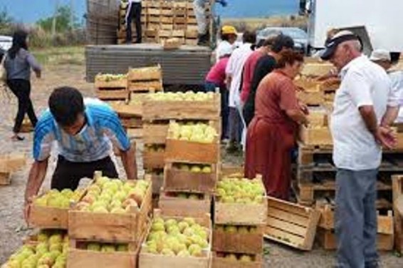 Հանրապետության պտուղ-բանջարեղեն արտահանողները կարող են անարգել կազմակերպել իրենց բեռնափոխադրումները