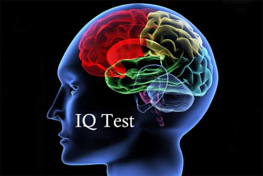 IQ-ն նվազում է միգրացիայի արդյունքում. գիտնականներ