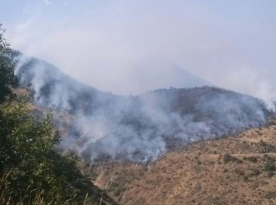 «Արևիկ» ազգային պարկի հրդեհը վերջապես մարվել է. ԱԻՆ