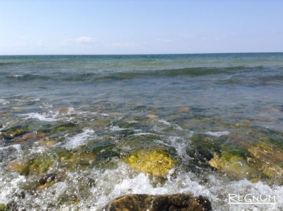 Байкальскую воду — китайцам: как стать умнее лягушки?