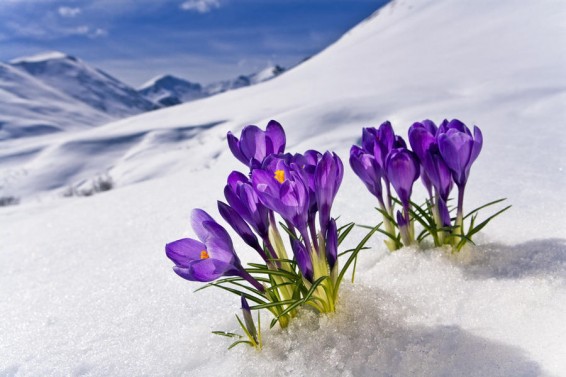 Օդի ջերմաստիճանը կբարձրանա