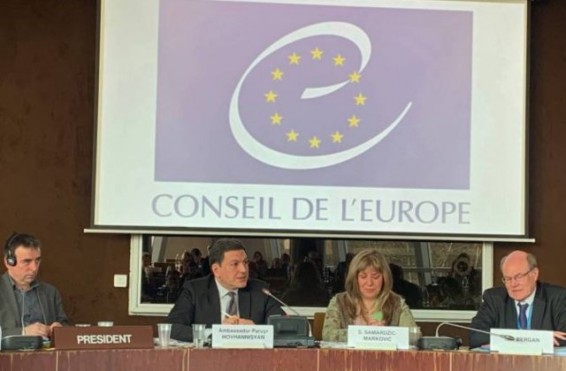 ՀՀ մշտական ներկայացուցիչը մասնակցել է ԵԽ կրթության քաղաքականության և պրակտիկայի հարցերով ղեկավար կոմիտեի նիստին