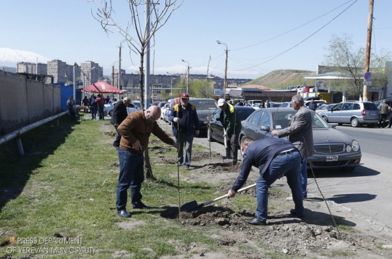 Երևանի ավտոշուկայի հարակից կանաչ գոտում ծառատունկ է իրականացվել