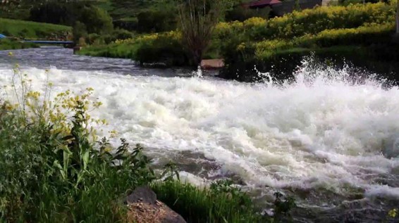 7-ամյա աղջիկը Մարտունի գետում ջրահեղձ է եղել