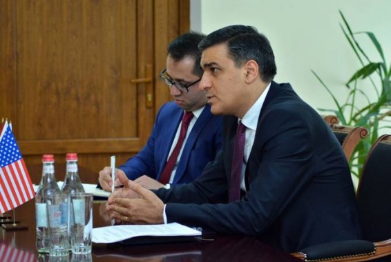 Մարդու իրավունքների պաշտպանն ընդունել է Հայաստանում ԱՄՆ արտակարգ և լիազոր դեսպանին