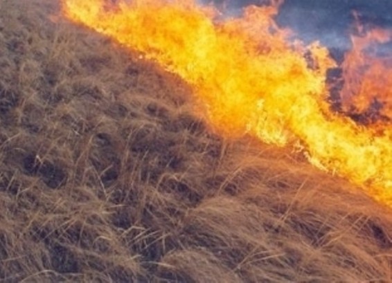 Հրդեհներ խոտածածկ տարածքներում