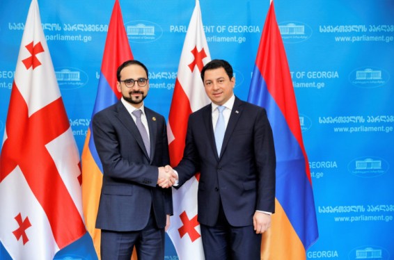 Տիգրան Ավինյանը հանդիպել է Վրաստանի խորհրդարանի նախագահ Արչիլ Թալակվաձեի հետ
