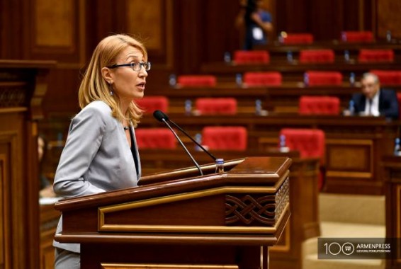 ԱԺ-ն քննարկում է մարզում սննդի ոլորտի գործունեություն իրականացնողների արտոնությունից օգտվելու հարցը