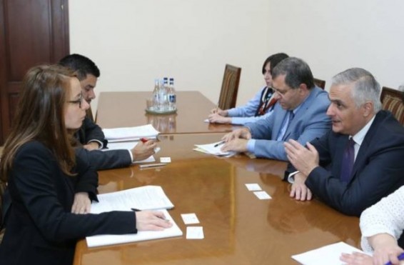 Փոխվարչապետ Գրիգորյանը «Ֆիթչ»-ի պատվիրակությանը ներկայացրել է Կառավարության բարեփոխումների շրջանակը