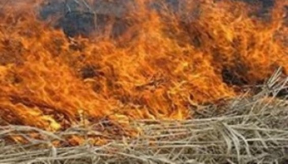Այրվել է անասնակեր