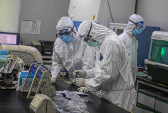 У коронавируса выделили два подтипа