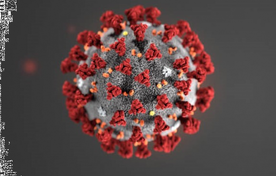 Лауреат Нобелевской премии за открытие ВИЧ: SARS-CoV-2 создан искусственно