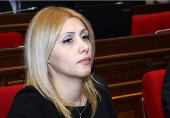 Էլինար Վարդանյան. Համավարակը, հասարակությունը և պետությունը