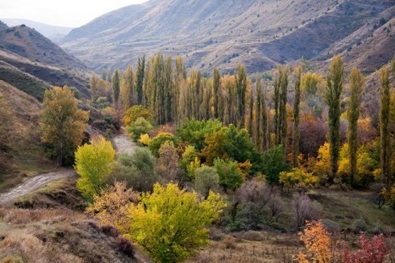 Խոսրովի անտառում բռնկված հրդեհը հնարավոր է եղել հանգցնել մի քանի մեկուսացման օջախներով. Ն.Գրիգորյան