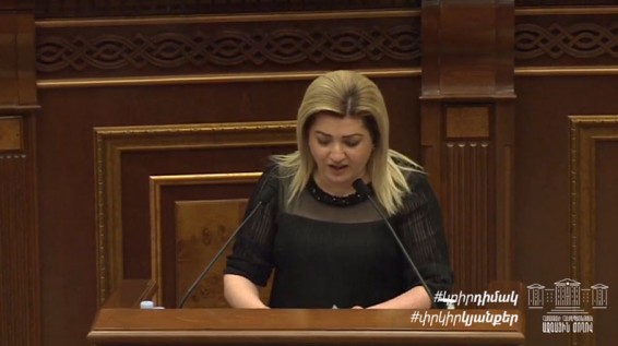 Կարինե Պողոսյան. Քաղաքական տեռոր է իրականացվում