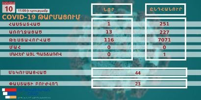 Արցախում կորոնավիրուսի 1 նոր դեպք է գրանցվել. վարակվածների ընդհանուր թիվը 251 է