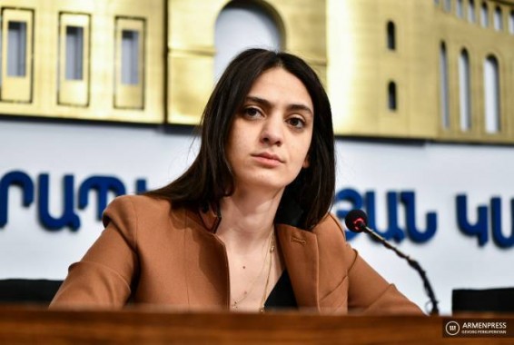 Վարչապետի խոսնակն անդրադարձել է Խաշթառակում դաժան ծեծի հետևանքով երեխայի մահանալու դեպքին