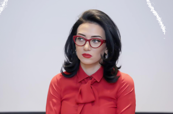 Բոցաշունչ ելույթները թխվածքի վրայի բալն են, բայց դրանք զրո են, եթե մինչ այդ աշխատանք չի արվել կամ արվել է ոչ բավարար․ Արփինե Հովհաննիսյանը՝ ԵԽԽՎ–ում հայ ռազմագերիների հարցը չքննարկելու մասին