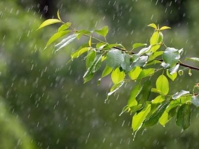 Եղանակը Հայաստանում