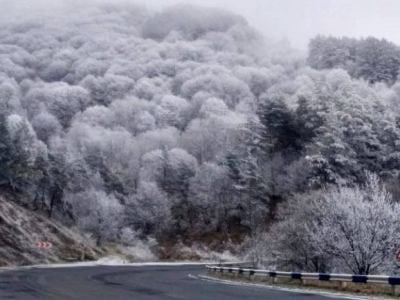 Դիլիջանի ոլորանները ժամանակավորապես փակվել են որոշ տրանսպորտային միջոցների համար
