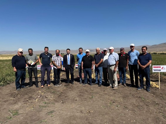 Նոր սերմերը կրկին գերազանցեցին սպասելիքները