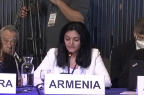 Մինչ մենք քննարկում ենք` ինչպես առաջ շարժվել՝ հաղթահարելու առողջապահության առջև ծառացած մարտահրավերները, հայ զինվորները պայքարում են հայ ժողովրդի և իրենց կյանքի համար. ԱՆ տեղակալ