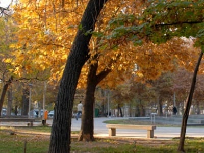 Եղանակը Հայաստանում