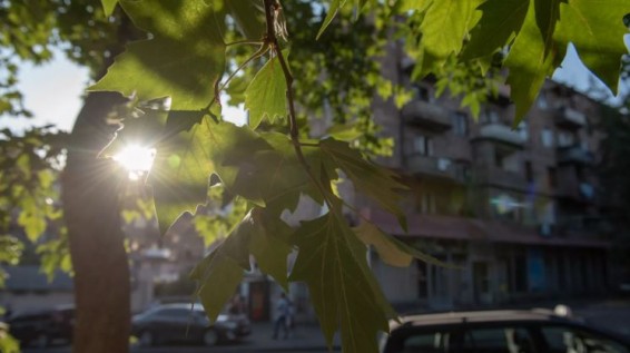 На юге будет до +23: прогноз погоды в Армении на 21 ноября