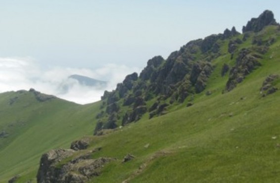 «Զանգեզուր» կենսոլորտային համալիրը վերակազմավորվել է