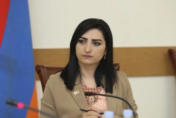 Тагуи Товмасян лишили полномочий главы комиссии НС по защите прав человека и общественным вопросам