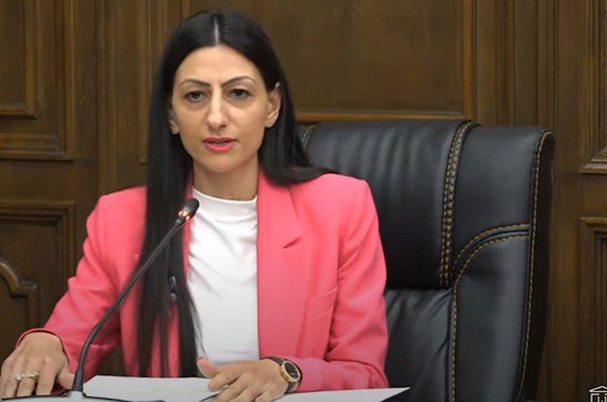 Մանասյանը դիմել է Սահմանադրական դատարան