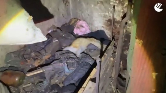 В курском селе нашли тела замученных военными ВСУ мирных жителей