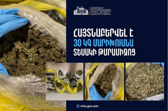 В Армении изъято 30 кг марихуаны