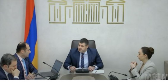 «Членистоногие многостульцы»: армянский парламент озабочен евроинтеграцией