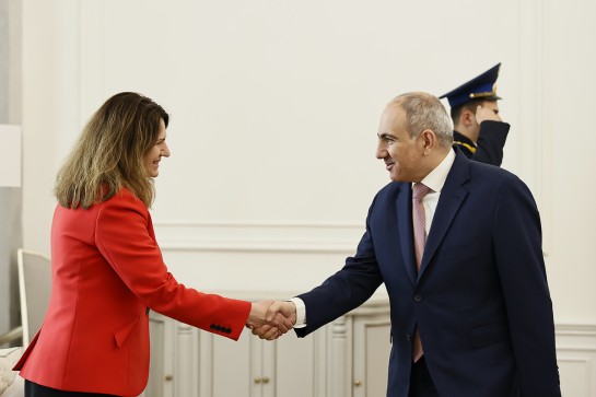 Նիկոլ Փաշինյանը նշել է, որ այս տարվա առաջին եռամսյակում պահպանվում են տնտեսական ակտիվության միտումները