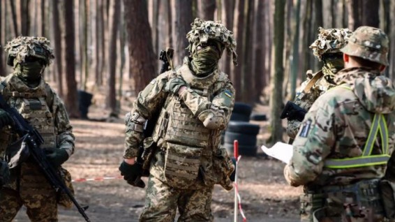 Подполье сообщило о планах 95-й бригады ВСУ свергнуть Зеленского
