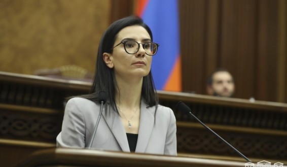 ննա Վարդապետյանը դիմել է Ալեն Սիմոնյանին․ Սեյրան Օհանյանի և Արծվիկ Մինասյանի նկատմամբ քրեական գործ հարուցելու մտադրություն կա