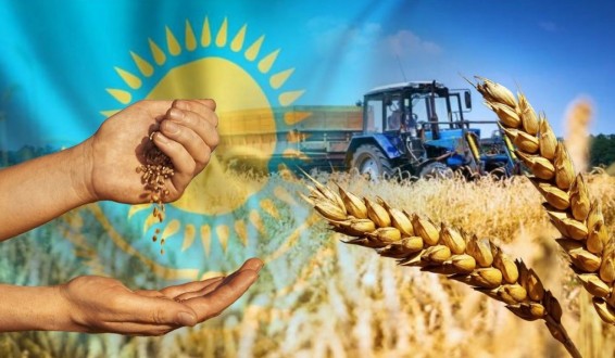 Ղազախստանը կարող է ամսական մինչև 20,000 տոննա ցորեն մատակարարել Հայաստան