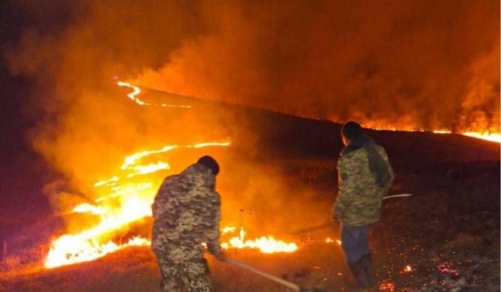 «Քննարկվում է նաև դիտավորության վարկածը». Պատգամավորն ահազանգում է՝ այրվում են Դիլիջան ազգային պարկի անտառները, հրդեհը տարածվում է միանգամից 4 օջախով