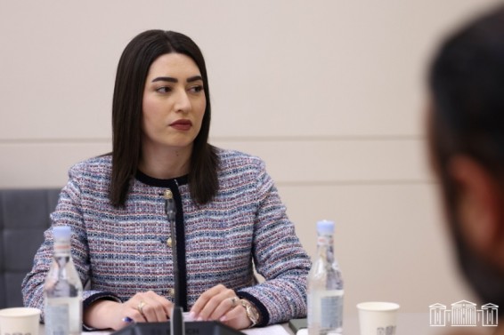 Վարորդական իրավունքի վերականգնման նոր մոդել. կառավարությունն առաջարկում է օրենսդրական լուծումներ