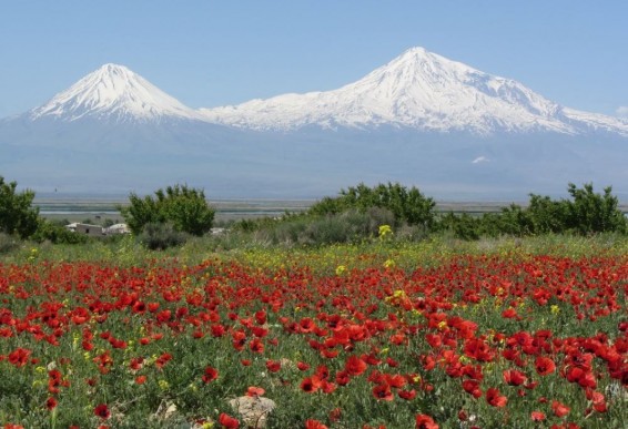 Մայիսի միջին ջերմաստիճանը Հայաստանում 9 տասնամյակում բարձրացել է 0․7 °C-ով, իսկ տեղումները նվազել են 27 %-ով