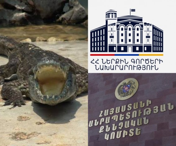 Կոկորդիլոսը ոչ ոքի չի վնասել. ԱԻՆ աշխատակից չի տուժել. ՆԳՆ-ն և ՔԿ-ն հերքում են կոկորդիլոսի հարձակման մասին տեղեկությունը