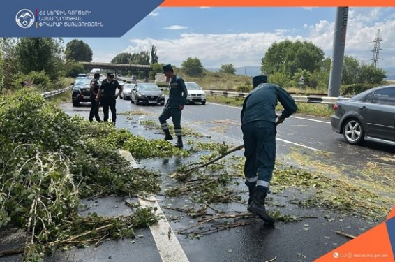 Երևան-Սևան ճանապարհին ծառը կողաշրջվել էր, ճանապարհը մասնակի փակվել էր facebook sharing buttonmessenger sharing buttontwitter sharing buttontelegram sharing buttonpinterest sharing button