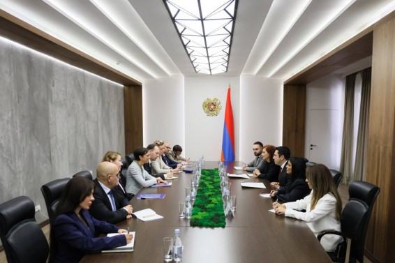 Ալեն Սիմոնյանն ընդունել է ԵՄ փաստահավաք առաքելության ներկայացուցիչներին