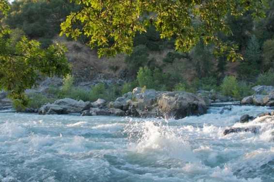 Դեբեդ գետից կնոջ մարմին են դուրս բերել
