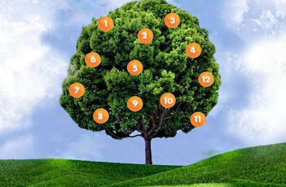 Ցանկությունների ծառ. երազանք պահեք, ընտրեք միրգն ու իմացեք՝ ինչ է ձեզ սպասվում ապագայում